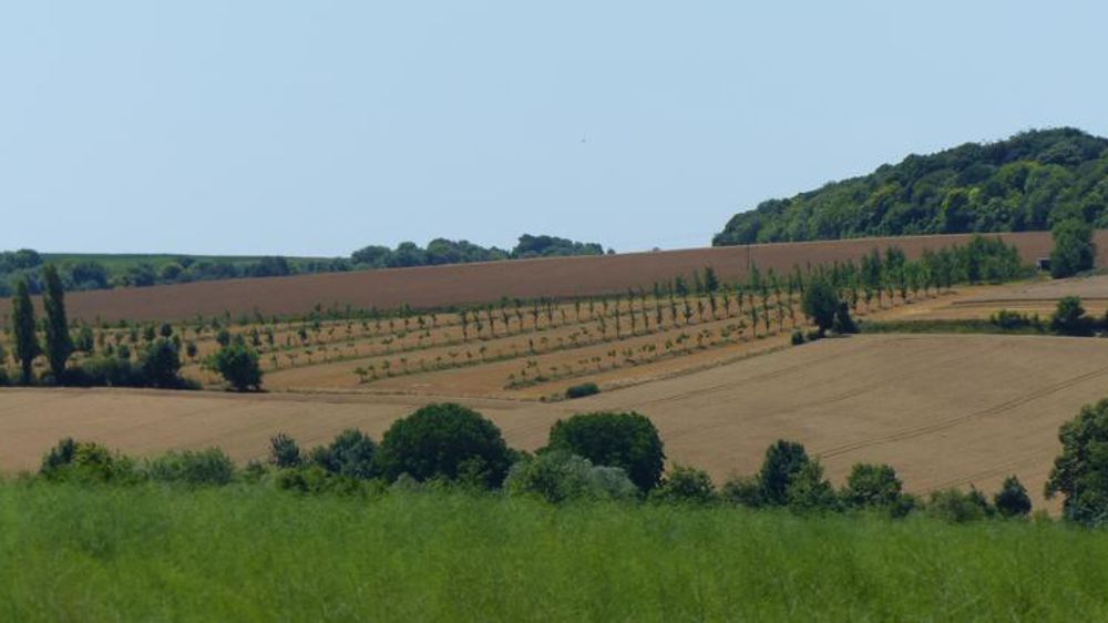 Des députés, les syndicats agricoles, des collectivités et des associations plaident pour une loi foncière de grande ampleur. © A. Cassigneul/GFA